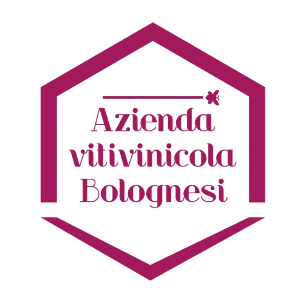 Bolognesi vini